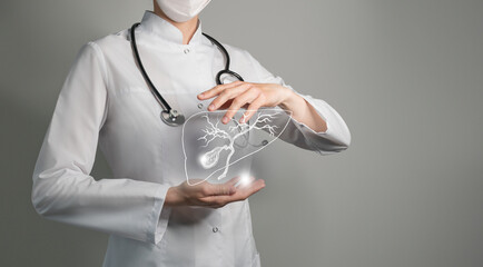 Unrecognizable doctor holding highlighted handrawn Gall Bladder in hands. Medical illustration,...