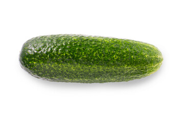 Cucumber green speckled isolated on a white background.Fresh bright vegetable on a white background.