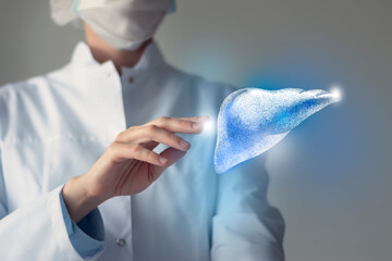 Unrecognizable doctor caring highlighted blue handrawn Liver. Medical illustration, template,...