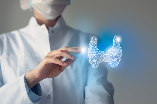 Unrecognizable doctor caring highlighted blue handrawn Thyroid Gland. Medical illustration, template, science mockup.