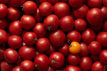 Red and one yellow tomatoes on the market. Tomatoes backdrop