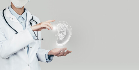 Female doctor holding virtual volumetric drawing of spleen in hand. Handrawn human organ, copy space on right side, grey hdr color. Healthcare hospital service concept stock photo - obrazy, fototapety, plakaty