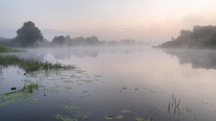 Tranquil summer landscape at sunrise. Fog on the water surface of a quiet river.  The nature of Belarus.