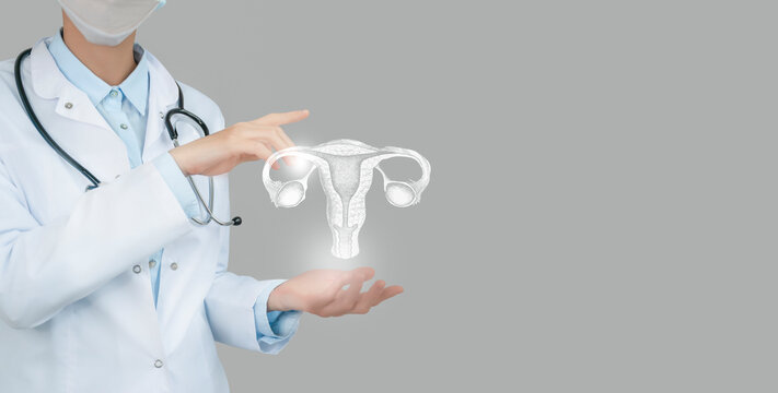 Unrecognizable doctor holding highlighted handrawn Uterus in hands. Medical illustration, template, science mockup.