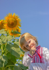 cute baby boy in folk Ukrainian embroidered shirt next to a sunflower on the field. the concept of the day of independence of Ukraine, patriotism and national holidays.