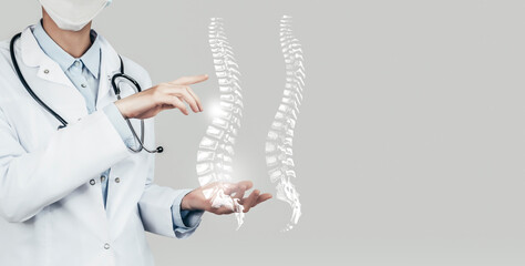 Unrecognizable doctor holding highlighted handrawn Spine in hands. Medical illustration, template,...