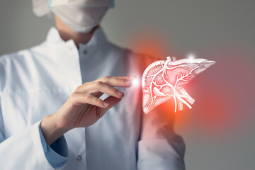 Unrecognizable doctor caring highlighted blue handrawn Liver. Medical illustration, template, science mockup.