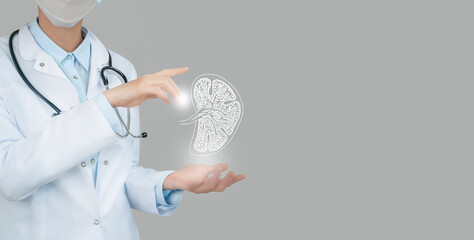 Female doctor holding virtual sketchy drawing of spleen in hand. Handrawn human organ, copy space on right side, raw photo colors. Healthcare hospital service concept stock photo. - obrazy, fototapety, plakaty