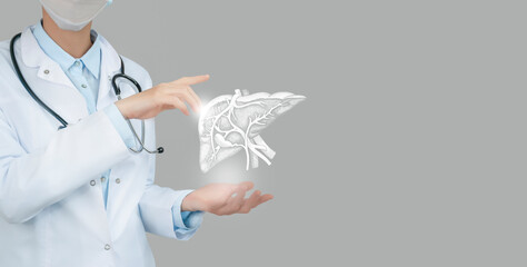 Unrecognizable doctor holding highlighted handrawn Liver in hands. Medical illustration, template,...