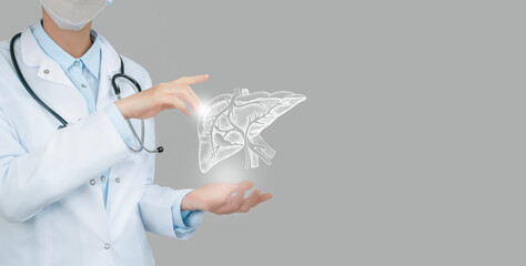 Unrecognizable doctor holding highlighted handrawn Liver in hands. Medical illustration, template,...