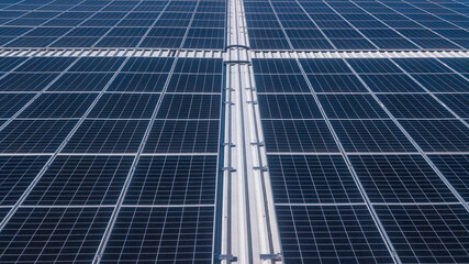 Obraz premium Photovoltaic solar panels which are devices used to convert energy from sunlight into electrical energy, which are composed of solar cells that capture sunlight 