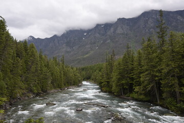 Fototapeta na wymiar Stormy day on the river in Glacier National Forest