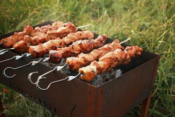 Tasty shaslik outside, close up