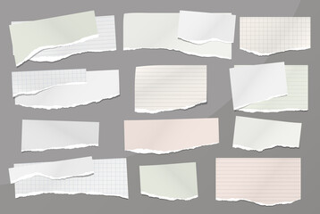 Set of torn white and colorful note, notebook paper stripes are on grey background for text, advertising or design. Vector illustration