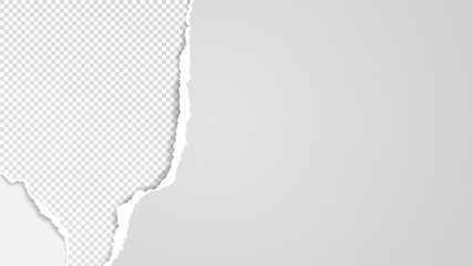 Torn, ripped squared and grey paper strips with soft shadow are on white background for text. Vector illustration