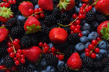 Blackberry, raspberry, blueberry,  red currant and mint background.