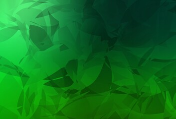 Fototapeta premium Dark Green vector backdrop with polygonal shapes.