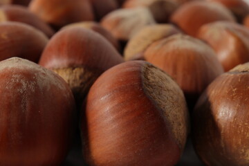 hazelnuts