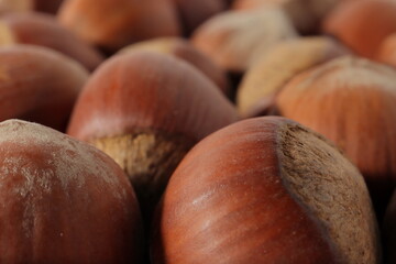 hazelnuts