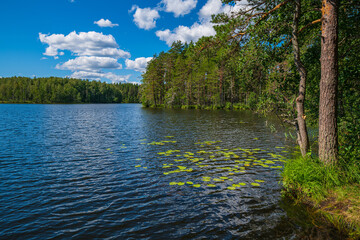 Beautiful landscape of forest lake Harlampovskoye
