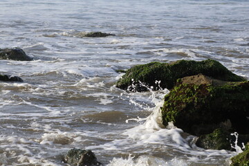 Olas en el mar con roca