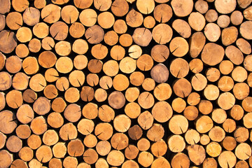 A pile of logs for sawing into boards. The texture of felled logs. Logging. Logs in the lumber warehouse. Felled trees. Stacked logs, biomass. High quality photo
