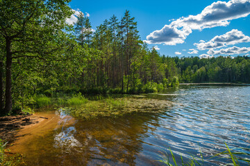 Beautiful landscape of forest lake Svetloye, Vyaryamyanselkya ridge, Karelian Isthmus, Lleningrad region, Russia.