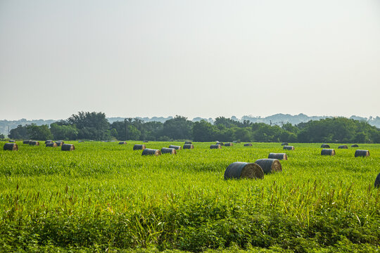 Texas Haybales