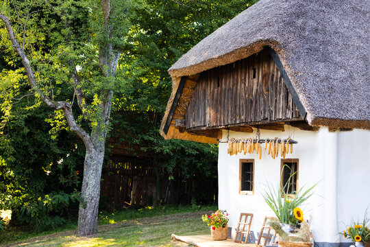 Traditional Pannonian house