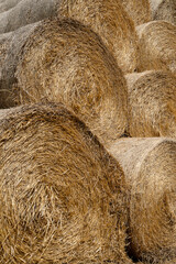 Straw Hay bales at the farm