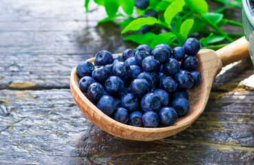 Wooden spoon full of ripe blueberries. The concept of proper nutrition. Raw food.
