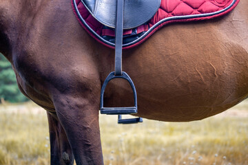 Detailed close up of horse saddle with stirrup