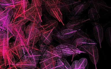 Dark Pink vector elegant background with leaves.