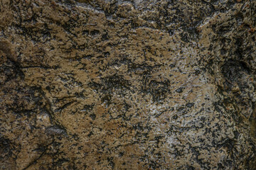 abstract background of wet stone texture close up