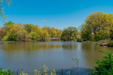Naklejka na ściany i meble autumn landscape with lake Central Park New York usa travel sky blue 
