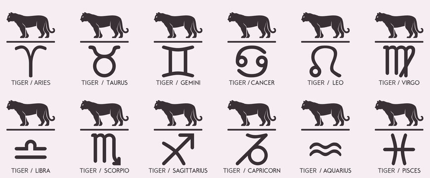 Vector Year of the tiger Animal icons eastern annual horoscope and zodiac signs in one symbol 2022 2034 2046 2058 years