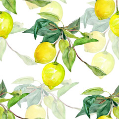 Seamless Pattern lemon on white and color background.