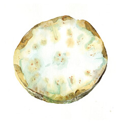 Watercolor half of celery, vegan food, salad ingredient. Brown Cookbook illustration. Vegetarian recipe. Root for eating. Raster stock image.