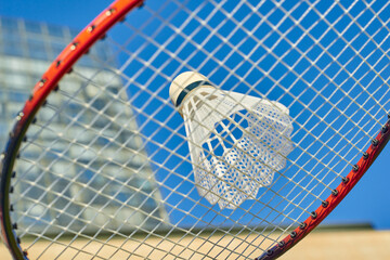 badminton racket shuttlecock sport nature