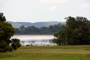 A lake and tree lined shore. 