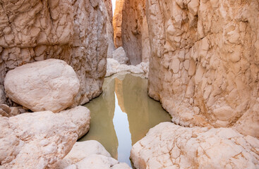 Water pools created by heavy rain in dry wadi Ashalim, the nature reserve in Judaean Desert, Israel. White walls of a narrow canyon reflecting in water pools. Unusual and rare desert landscape.