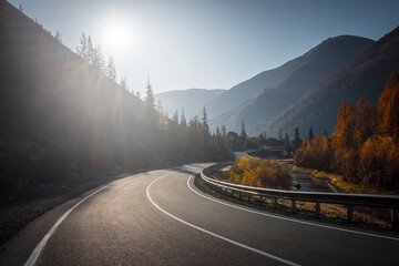 Country road in mountains. Autumn.