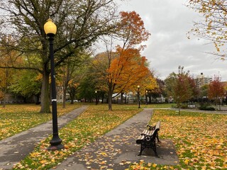 autumn in the park