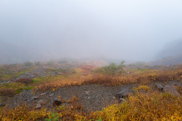 栃木県那須郡那須町の那須岳に霧の中で紅葉を見るために登山している風景 A view of climbing Mt. Nasu in Nasu-machi, Nasu-gun, Tochigi Prefecture, to see the autumn leaves in the fog.
