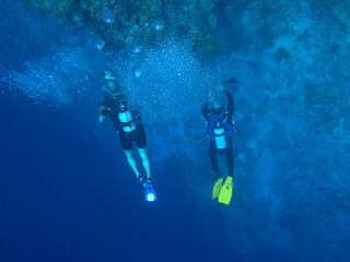 scuba divers in the sea