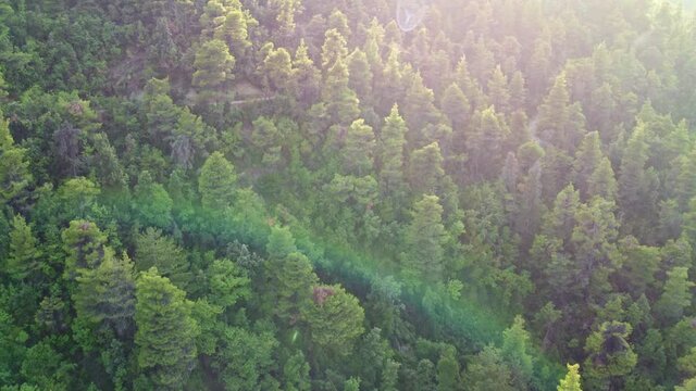 Waterfall Kremasi, Wild beauty of The Greek Island of Evia, aerial view