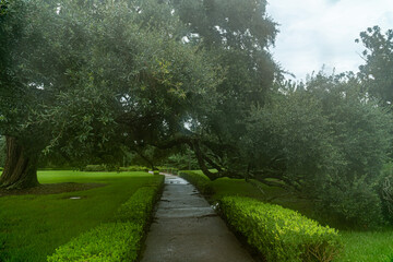 Downtown Baton Rouge, LA at Night
- The view from the state capitol building