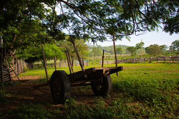 Fazenda