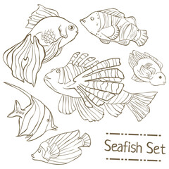 Set of hand drawn sea fish isolated on white. Collection of vector line fishes.
