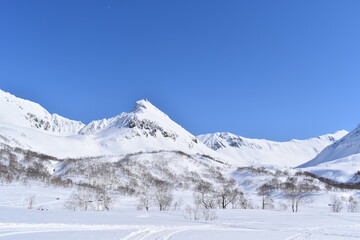 snow covered mountains